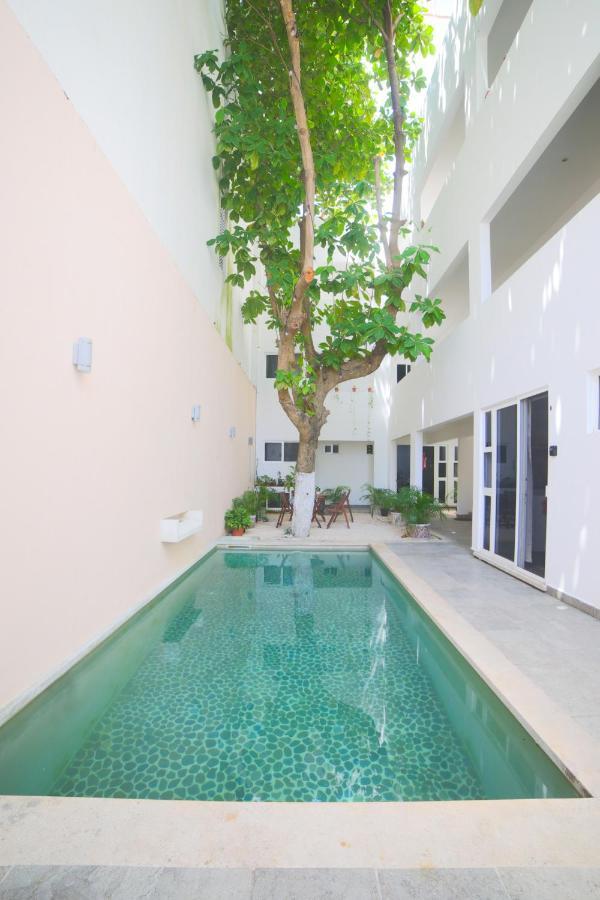 Almond Suites بلايا ديل كارمن المظهر الخارجي الصورة